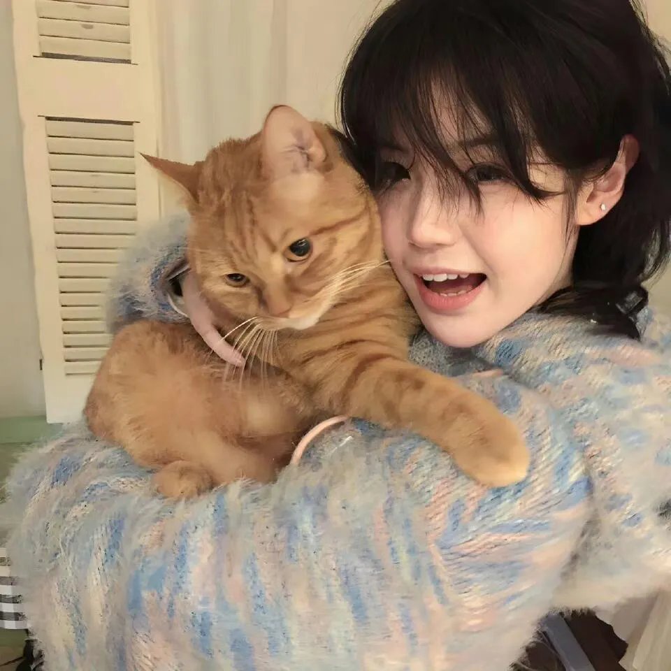 从养鸡种树到万界共主